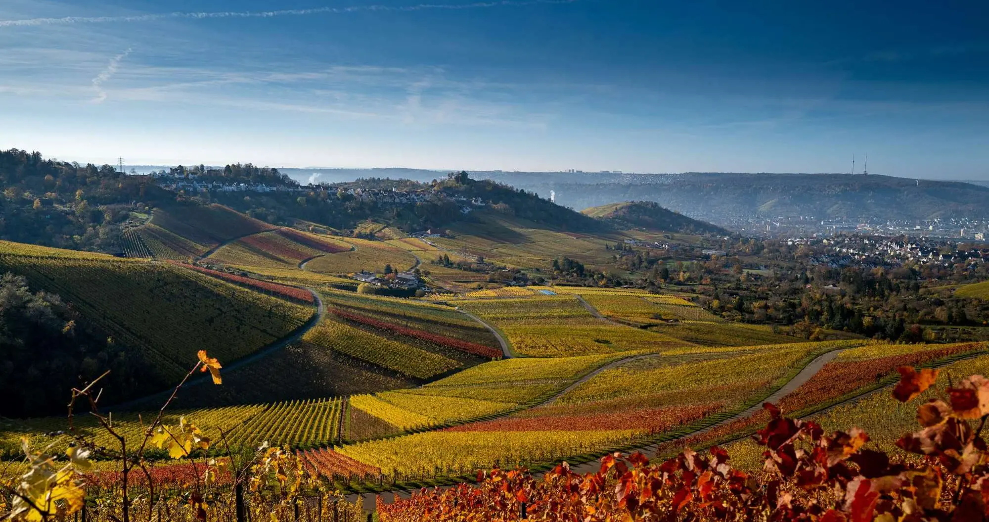 Weinberge und Orte im Remstal
